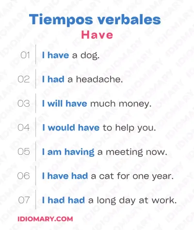 Uso del Verbo To Have con ejemplos y palabras comunes